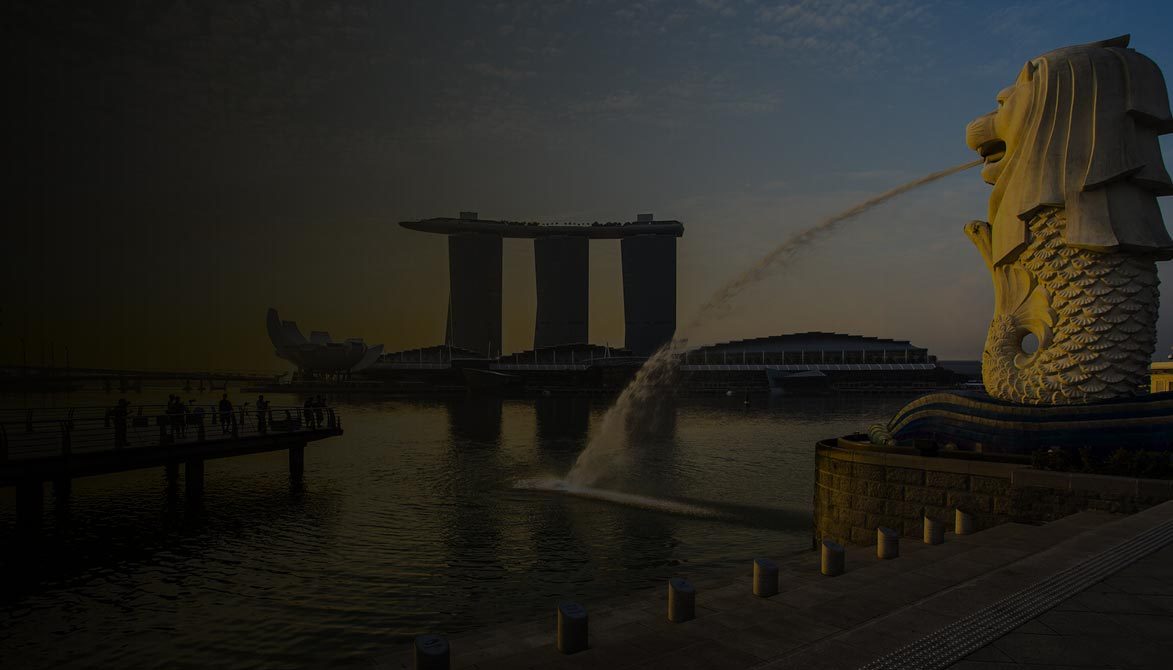 feasibility study consultants