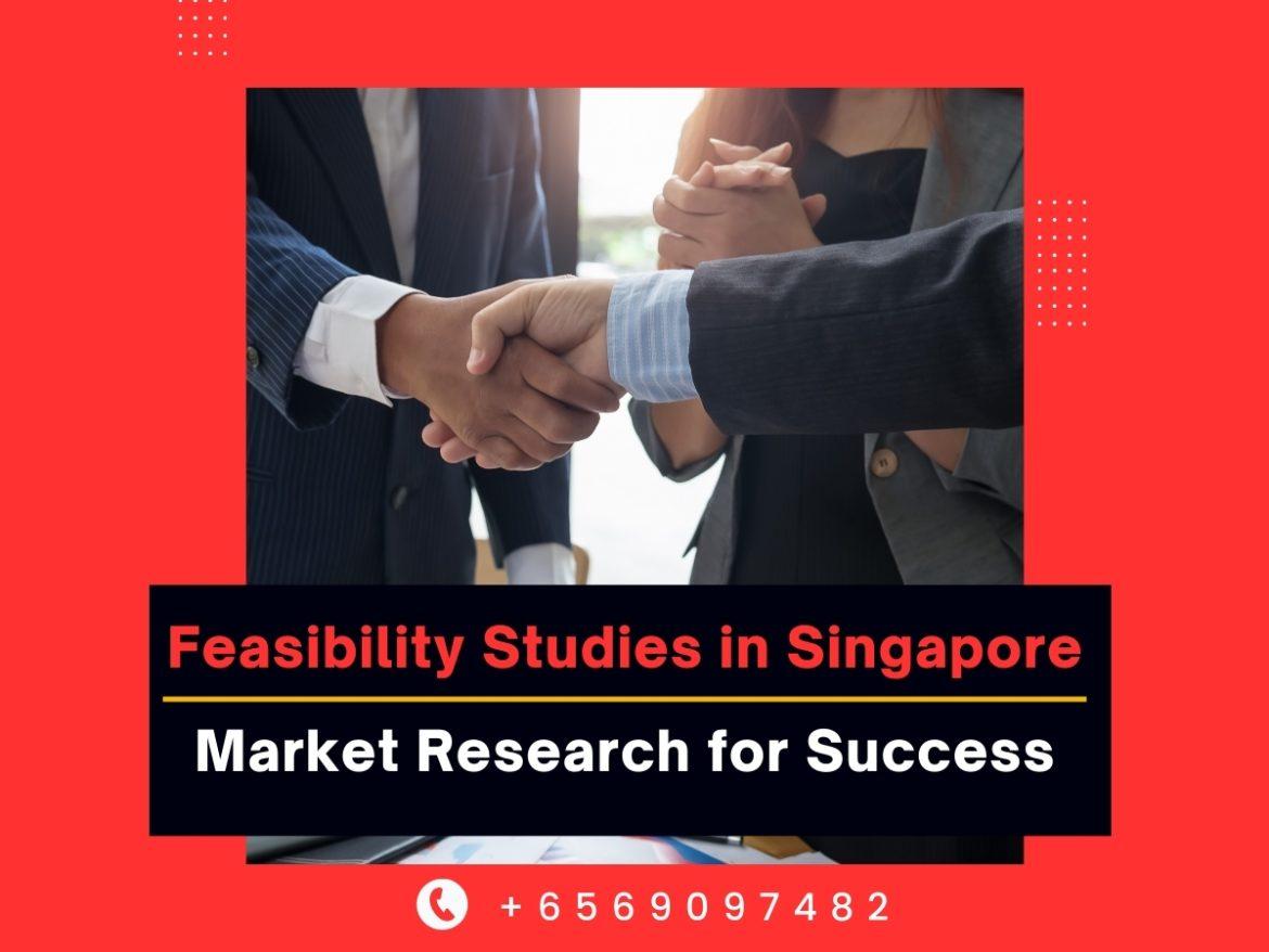Feasibility Studies in Singapore: Market Research for Success