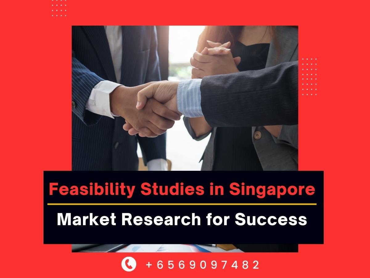 Feasibility Studies in Singapore: Market Research for Success